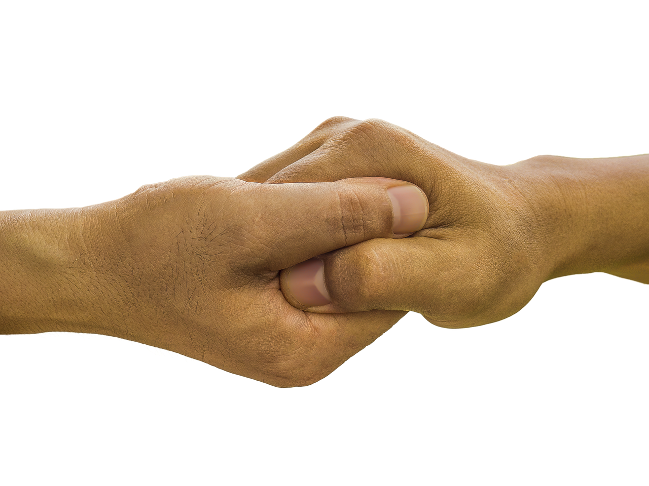 hands, palm in palm, hand